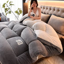 Coberta de pelúcia inverno veludo cordeiro, coberta quente casal, coberta de algodão engrossado cama de dormitório individual, coberta de lã de cordeiro dupla face quente